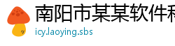 南阳市某某软件科技服务中心